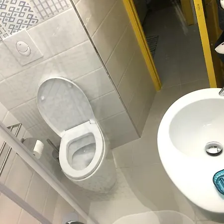 Apartament Sciu Sciu House *